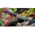 Ніж Morakniv Companion Heavy Duty MG вуглецева сталь (12494/12210) Ніж Morakniv Companion Heavy Duty MG вуглецева сталь (12494/12210)