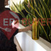 Термопляшка Quokka Sleek Gold 510 мл (57501)