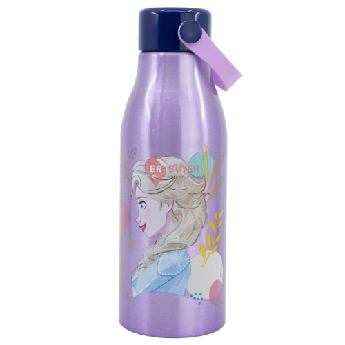 Бутылка для воды алюминиевая с силиконовой ручкой 760 мл Stor Frozen (74261)