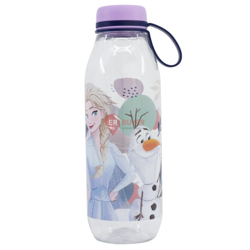 Бутылка для воды с силиконовой ручкой 650 мл Stor Frozen (74283)
